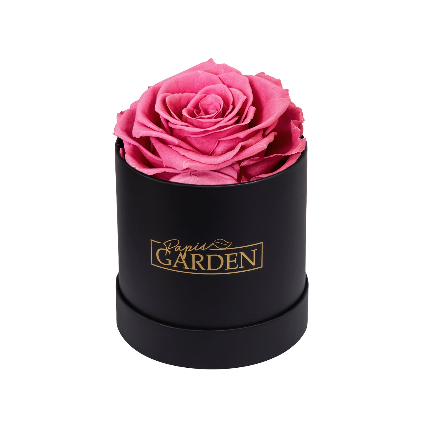 Elegant Single Rose
