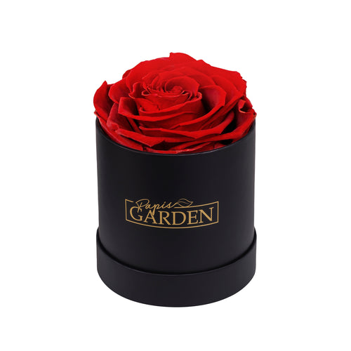 Elegant Single Rose